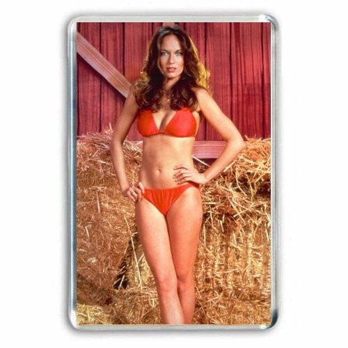 Retro daisy duke dukes of - duke,