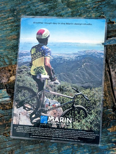 Team marin advert original - advert,