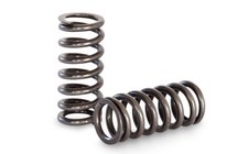 Kelford Cams Single Valve Spring Kit for Toyota 1.6L 4AGE 20v Black / Silver Top