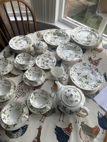 Piece set wedgewood - wedgewood, wild