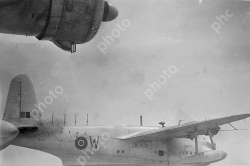 The raf short - the,