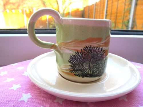 Boscastle pottery cup saucer - boscastle,
