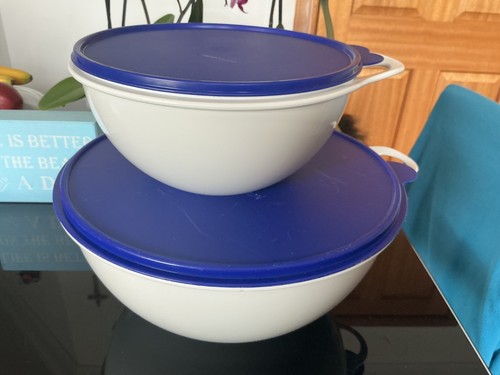 Tupperware vintage thatsa - tupperware,