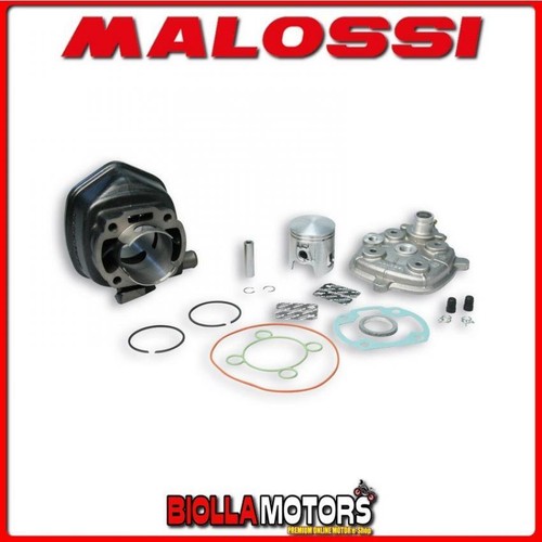 318284 malossi cylinder - 318284,