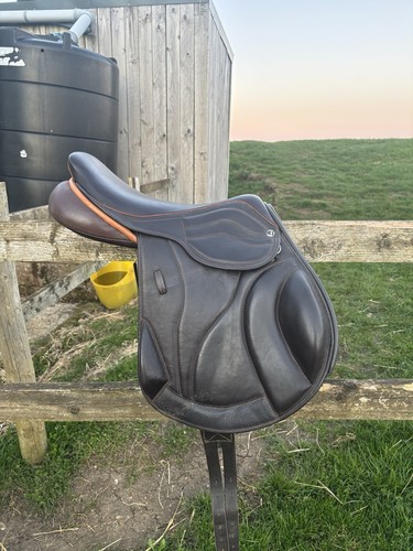 Brown with orange trim