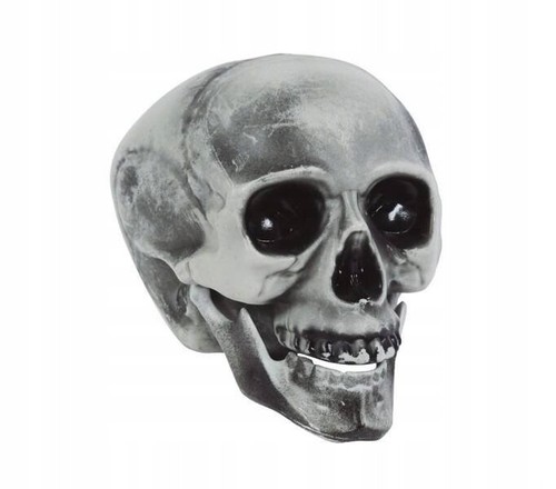 Life sized halloween skull - sized,