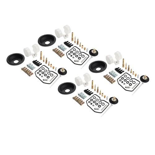 Carburetor repair kit - carburetor,