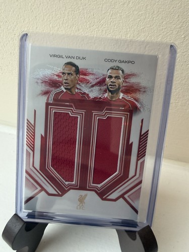 Virgil van dijk cody gakpo - van, /