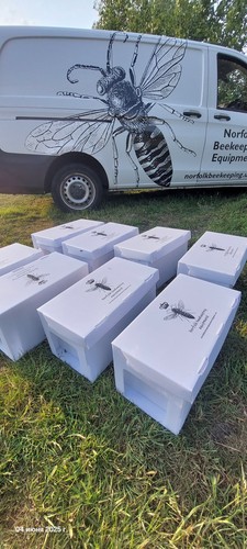 Pcs boxes for - for, 6