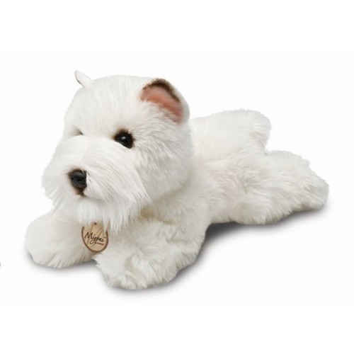 Cute westie dog - westie, toy