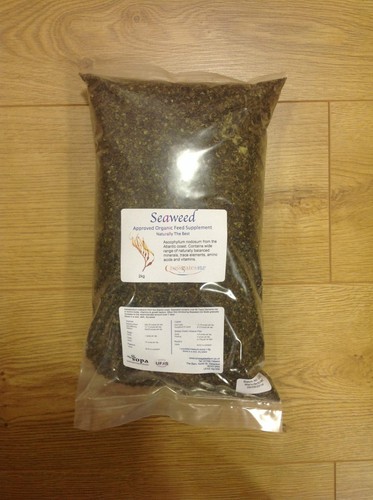 Seaweed 3 - (organic,