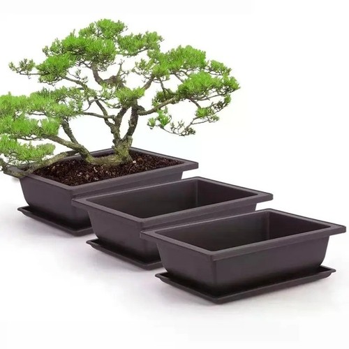 Rectangular bonsai plant pot - bonsai,