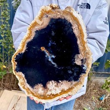 4.3LB Large Natural Petrified