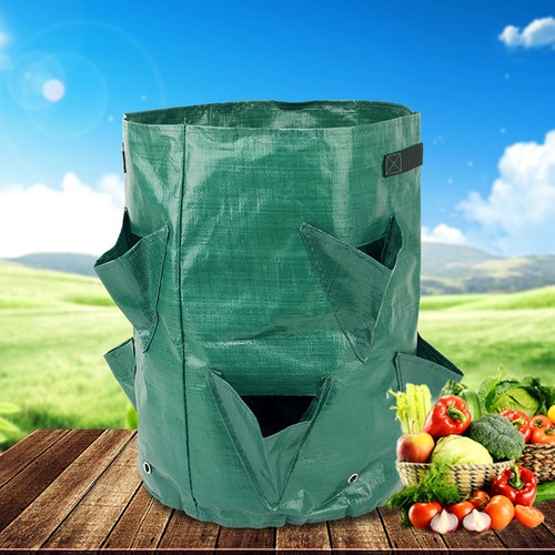 2pcs strawberry planting - 2pcs,