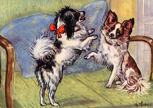 Papillon dog greeting - dog,