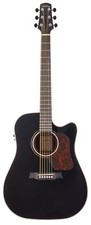 Walden D640CEB-B Dreadnought Electro Acoustic