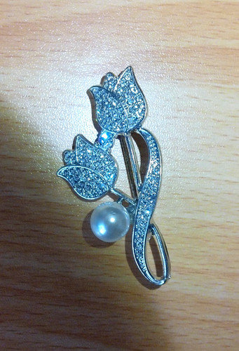 Tulip flower silvery - flower,