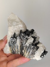 🔥Quartz Step with