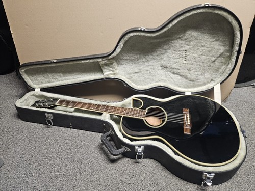 Washburn 20b festival - ea-20b,
