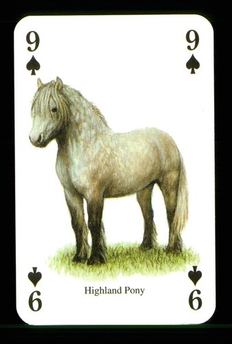 Playing card highland - 1, card:
