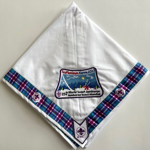 World scouts 25th - scouts,