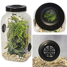 Stick Insect,Leaf Insect,Phasmid,Praying Mantis Twin Vent Habitat,