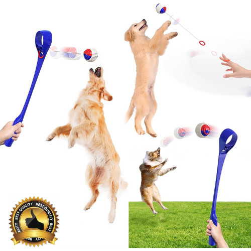 Large 50cm dog - dog, ball