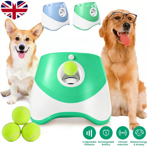 Dog ball throwing machine dogs - ball,