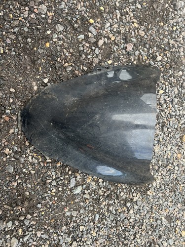 1994 suzuki rf600 screen - suzuki,