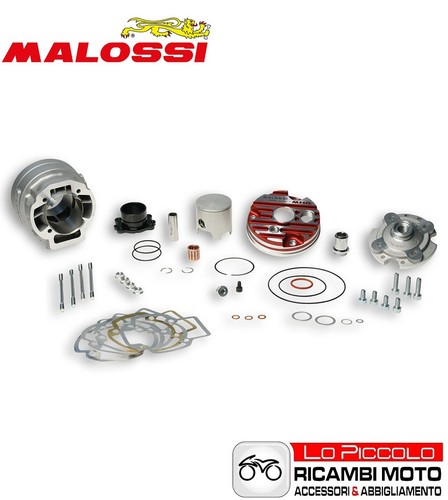 Thermal group malossi - group,