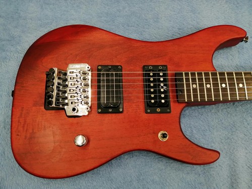 Washburn pws electric - n2-pws,