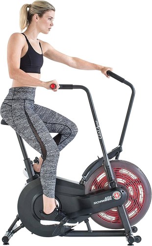 Schwinn airdyne ad2i dual - airdyne,
