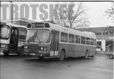 35mm Black and White Negative