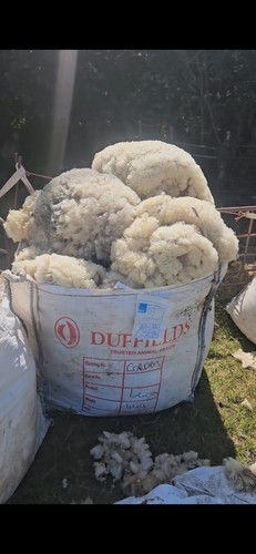 Raw unwashed sheep wool - raw,