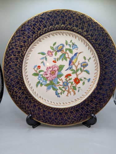 Aynsley pembroke cobalt - pembroke,