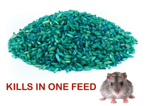 Rat mouse rodent poison - poison, bait
