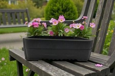 Brown Mica Bonsai Pot