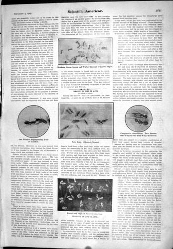 Old 1905 scientific american - scientific,