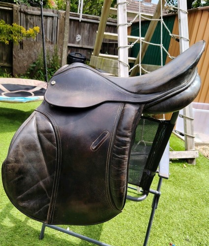 Antill saracen horse - horse, saddle