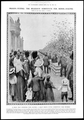 1910 antique print belgium - antique,