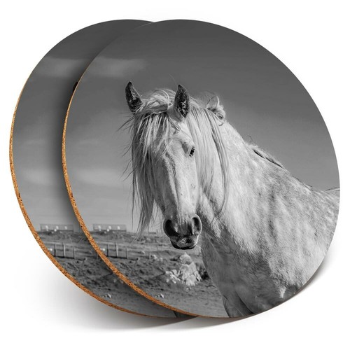 Coasters highland - -,