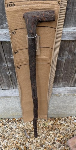 Blackthorn walking stick shank - stick,