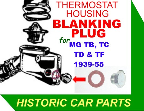 Thermostat housing blanking - thermostat,