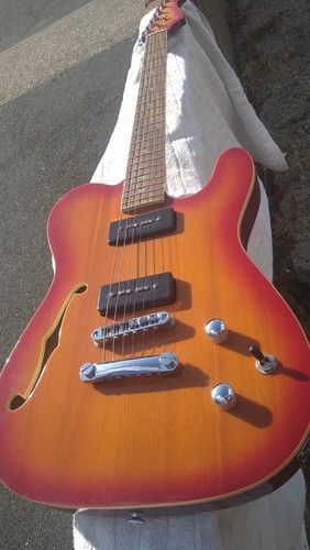 Wesley thinline telecaster - wesley,