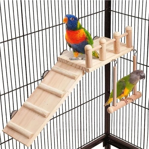 Pet budgie hanging - budgie, wooden