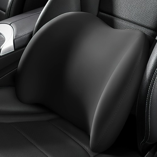 Back cushion support - cushion, chair