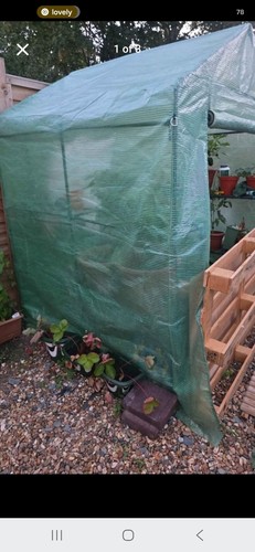 Large walk greenhouse with - walk-in,