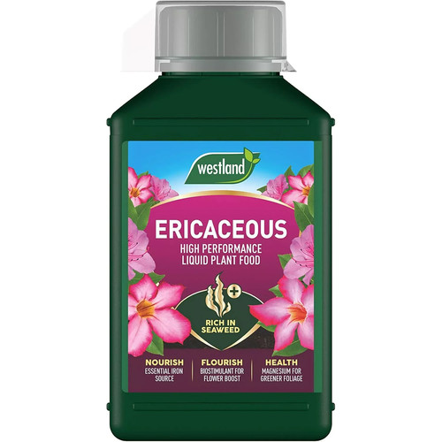 Westland ericaceous high - westland,