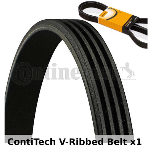 Contitech ribbed belt - contitech,