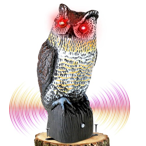 Solar owl bird deterrent - owl,